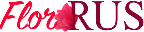 Доставка цветов Красный Сулин